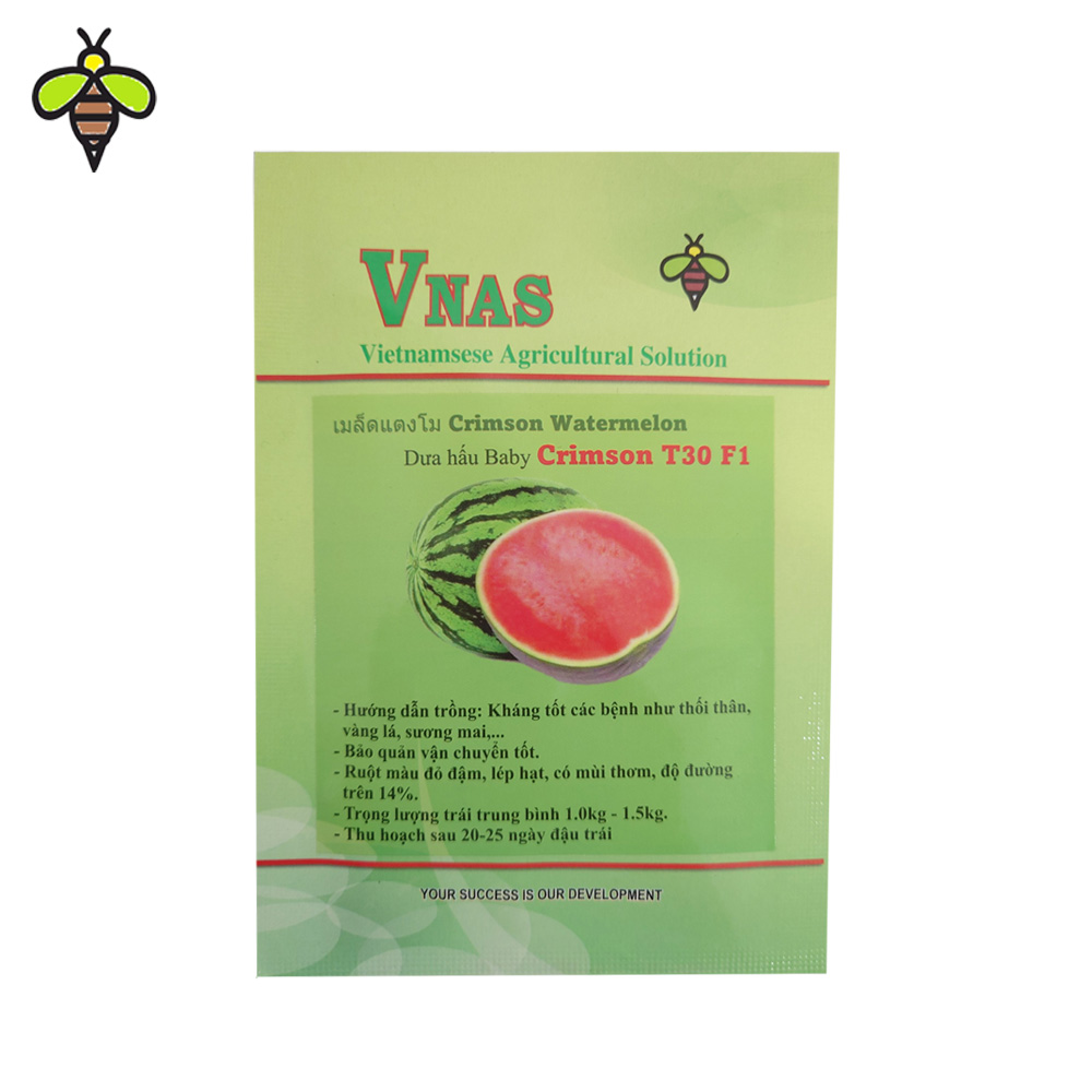 Hat-giong-dua-hau-babyy-crimson Hạt giống dưa hấu Baby Crimson