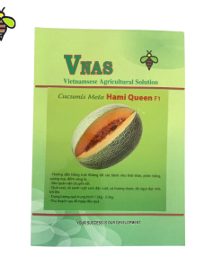 Hạt giống dưa lưới Hami Queen F1 – VNAS