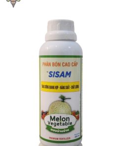 sisam cho dưa lưới