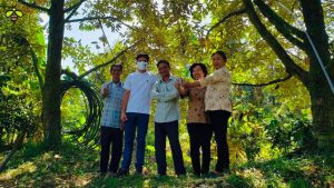 Chia sẻ kinh nghiệm từ các chuyên gia