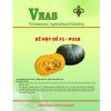 Bí hạt dẻ F1 PU18