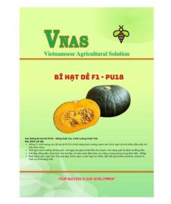 Bí hạt dẻ F1 PU18