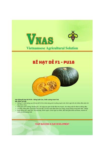Bí hạt Dẻ PU18 Bí hạt dẻ F1 PU18
