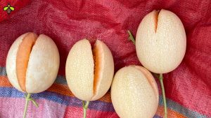 Hiện tượng bị nứt trái