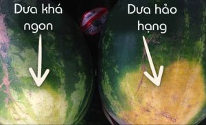 (Nguồn: Internet)
