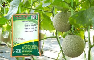 Phân Vi Lượng Topmix