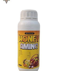 HONEY AMINO CHO DƯA LƯỚI