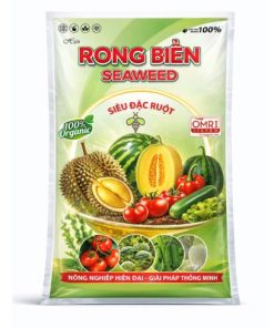 RONG BIỂN SEAWEED