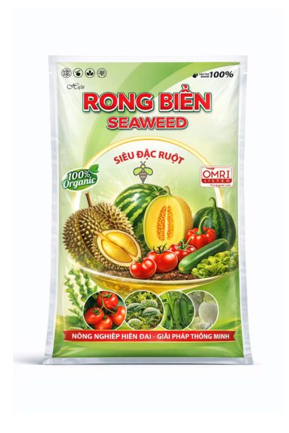 RONG BIỂN SEAWEED