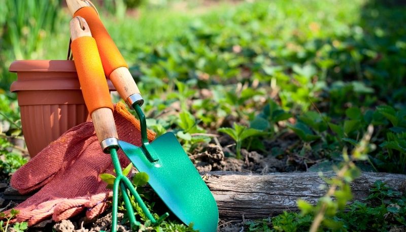 Cách vệ sinh và bảo quản các dụng cụ trồng