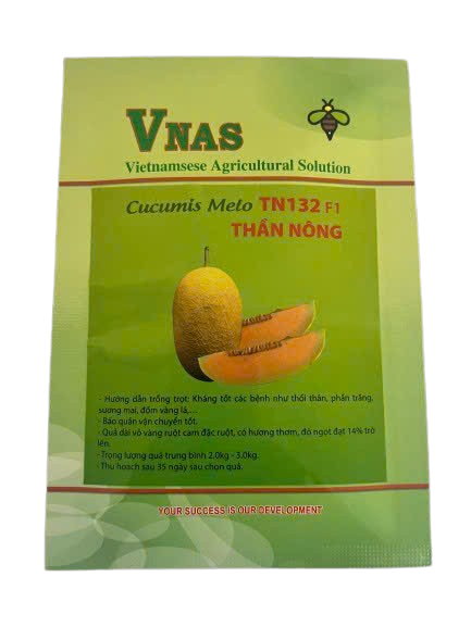z6668233156928_a25104e5d749aeefc673fe96a068d815-removebg-preview hạt giống dưa lưới THẦN NÔNG