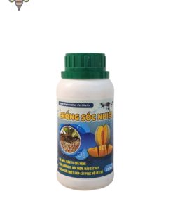 chống sốc nhiệt cho dưa lưới