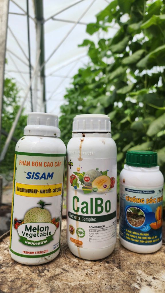 BỘ 3 SẢN PHẨM