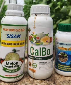 chống sốc nhiệt
