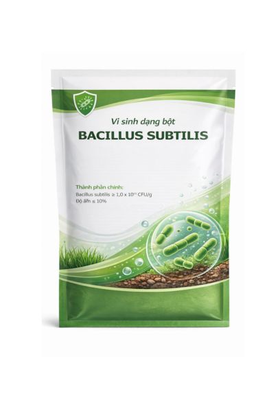 Bí hạt Dẻ PU18 bacillus subtilis