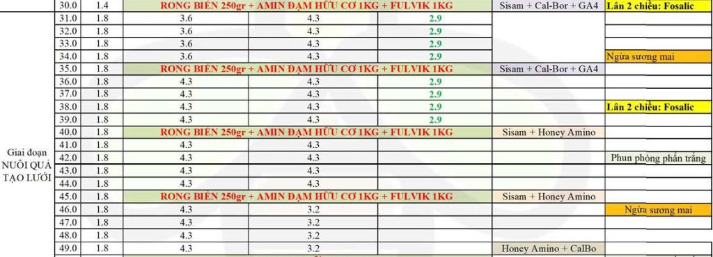 tăng trọng lượng cho dưa lưới