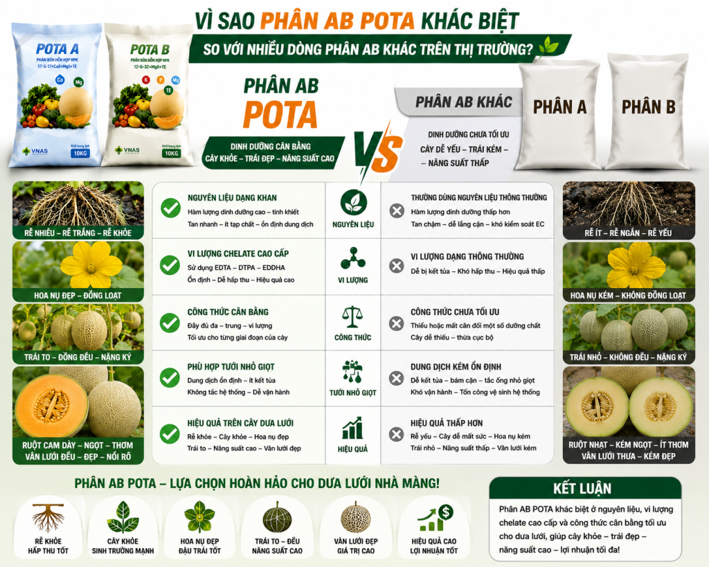 Phân AB POTA có gì khác
