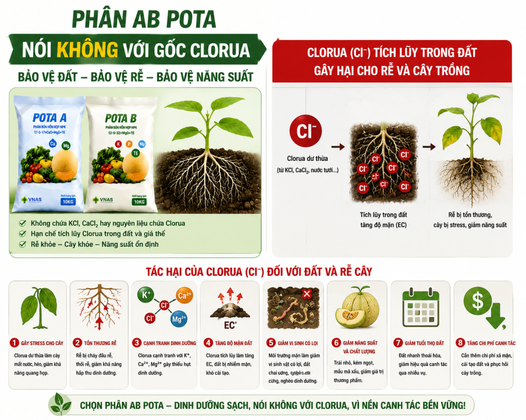 phân AB cho dưa lưới Phân AB POTA