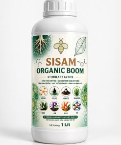 SISAM BOOM