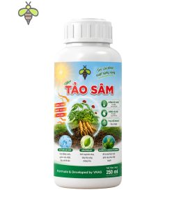 Tảo sâm
