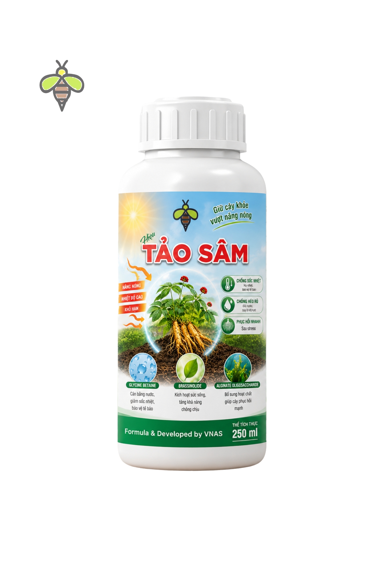 Tảo Sâm ảnh đại diện Tảo sâm