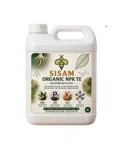 Sisam Boom